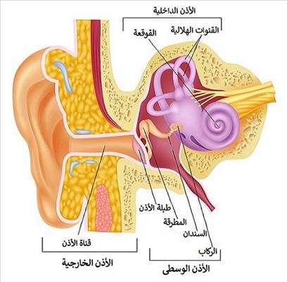 عدوى الأذن (الأذن الوسطى)